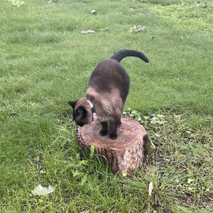 Fundraising Page: Madeleine Watson